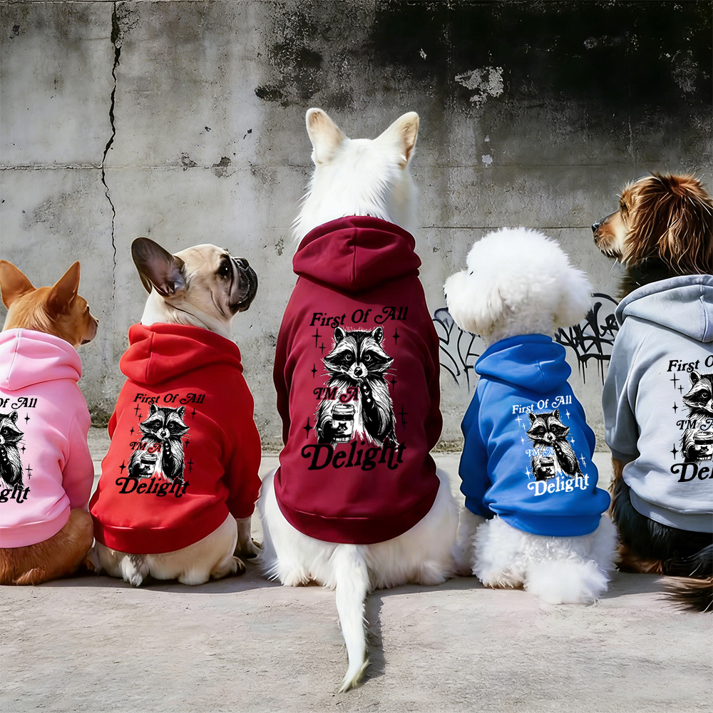 FIRST OF ALL I'M A DELIGHT Puppy Hoodie | BKPet321