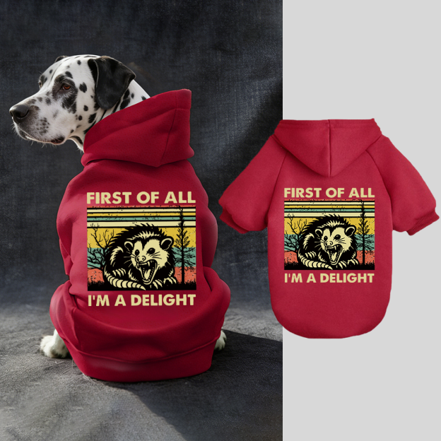 FIRST OF ALL I'M A DELIGHT Puppy Hoodie | BKPet331