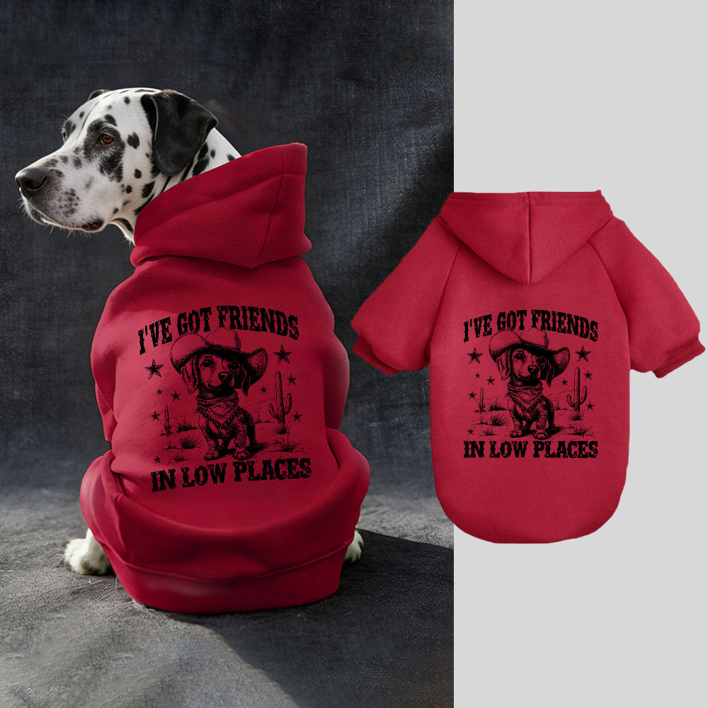 I'VE GOT FRIENDS Puppy Hoodie | BKPet340