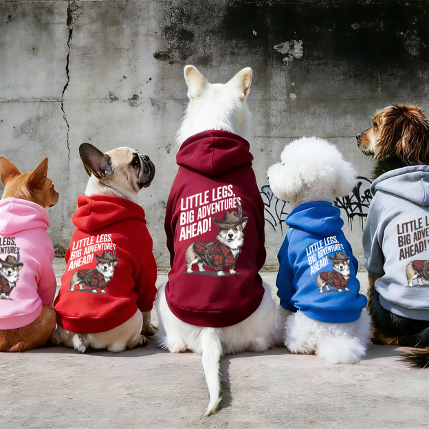 LITTLE LEGS BIG ADVENTURES AHEAD Puppy Hoodie | BKPet341