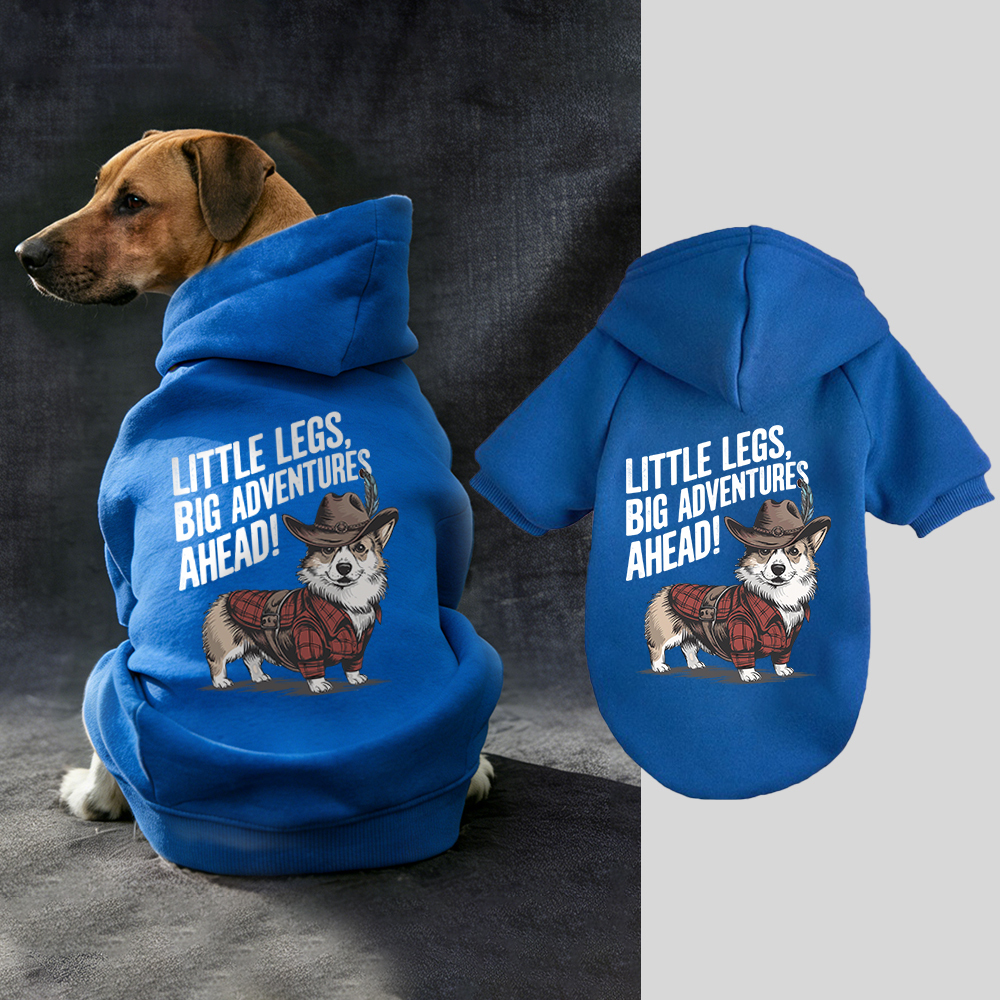 LITTLE LEGS BIG ADVENTURES AHEAD Puppy Hoodie | BKPet341