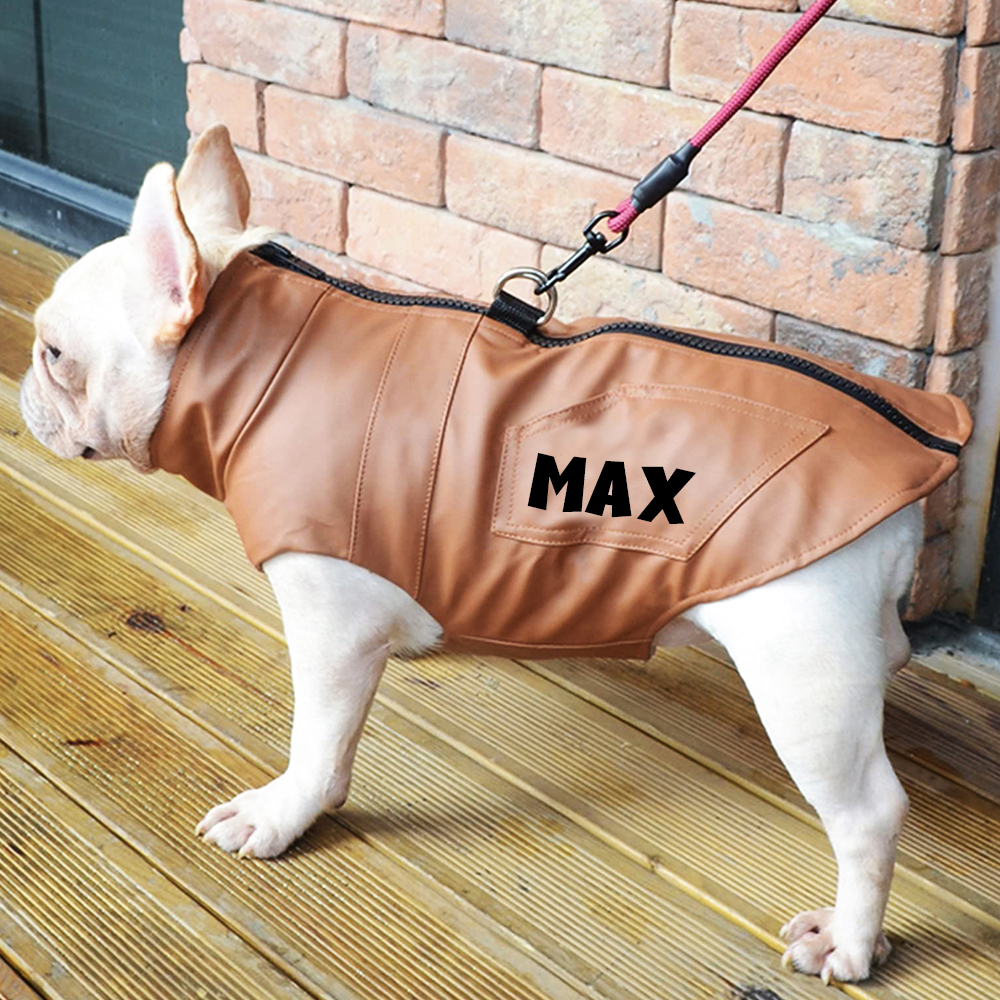 Personalized Pet Winter Warm Windproof Leather Jacket | BKPet361