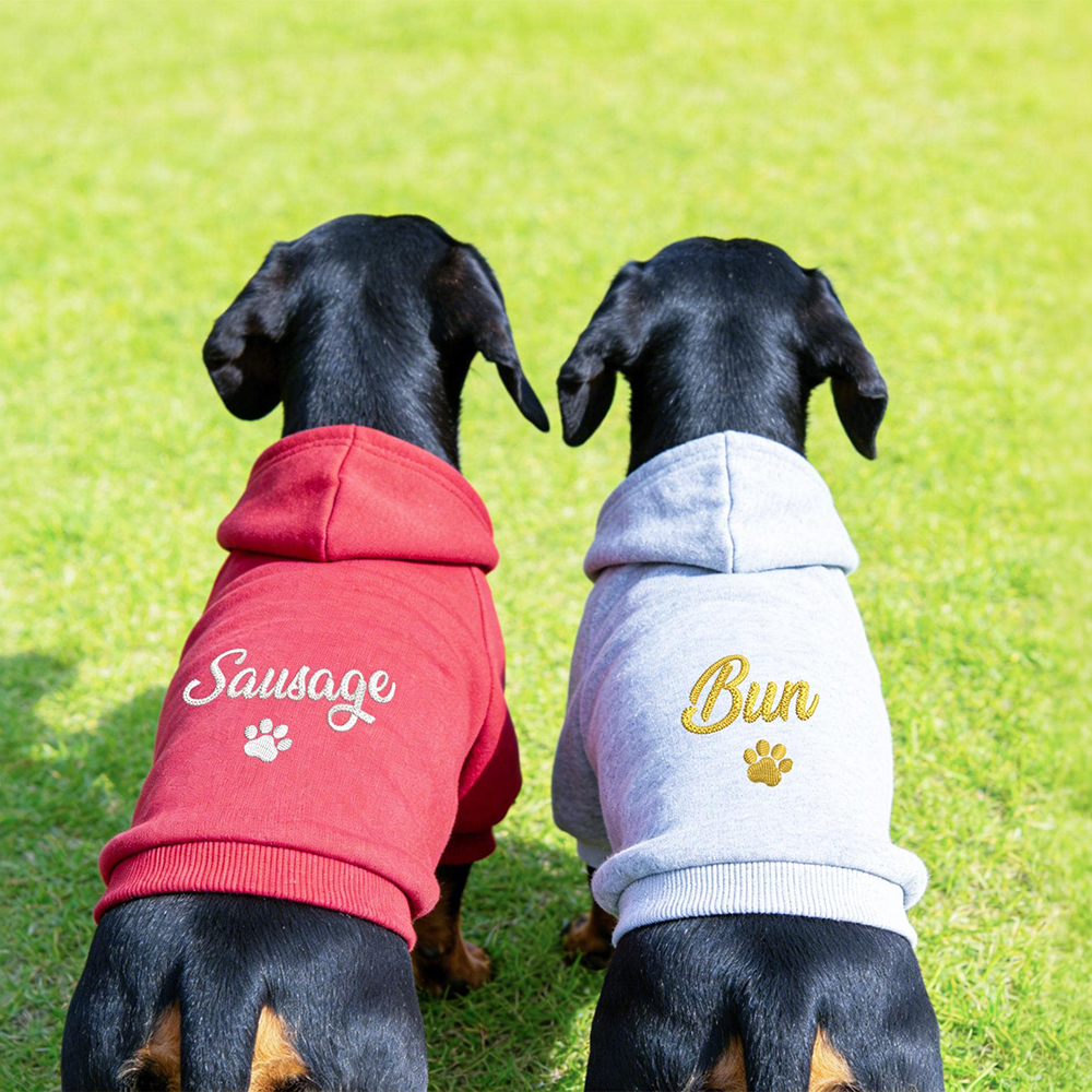 Personalized Embroidery Warm Soft Puppy Hoodie | BKPet362