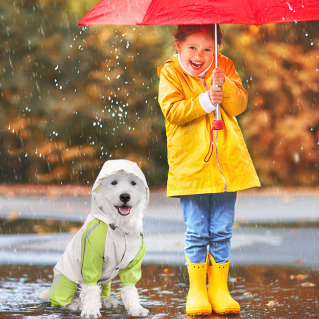 Personalized Pet Waterproof Raincoat with Hood | BKPet366