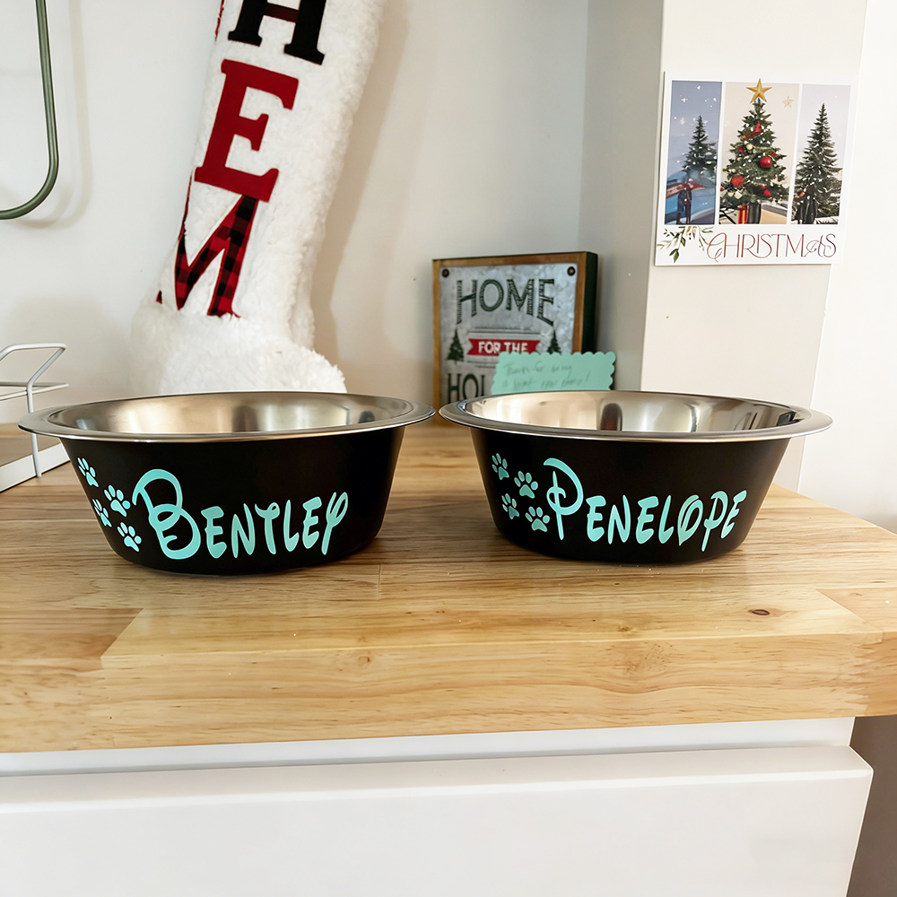 Personalized Pet Stainless Steel Anti-slip Food Bowl | BKPet36801