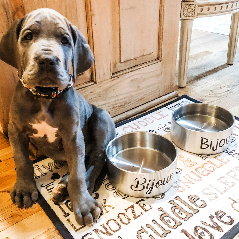 Personalized Pet Stainless Steel Anti-slip Thickened Food Bowl | BKPet369