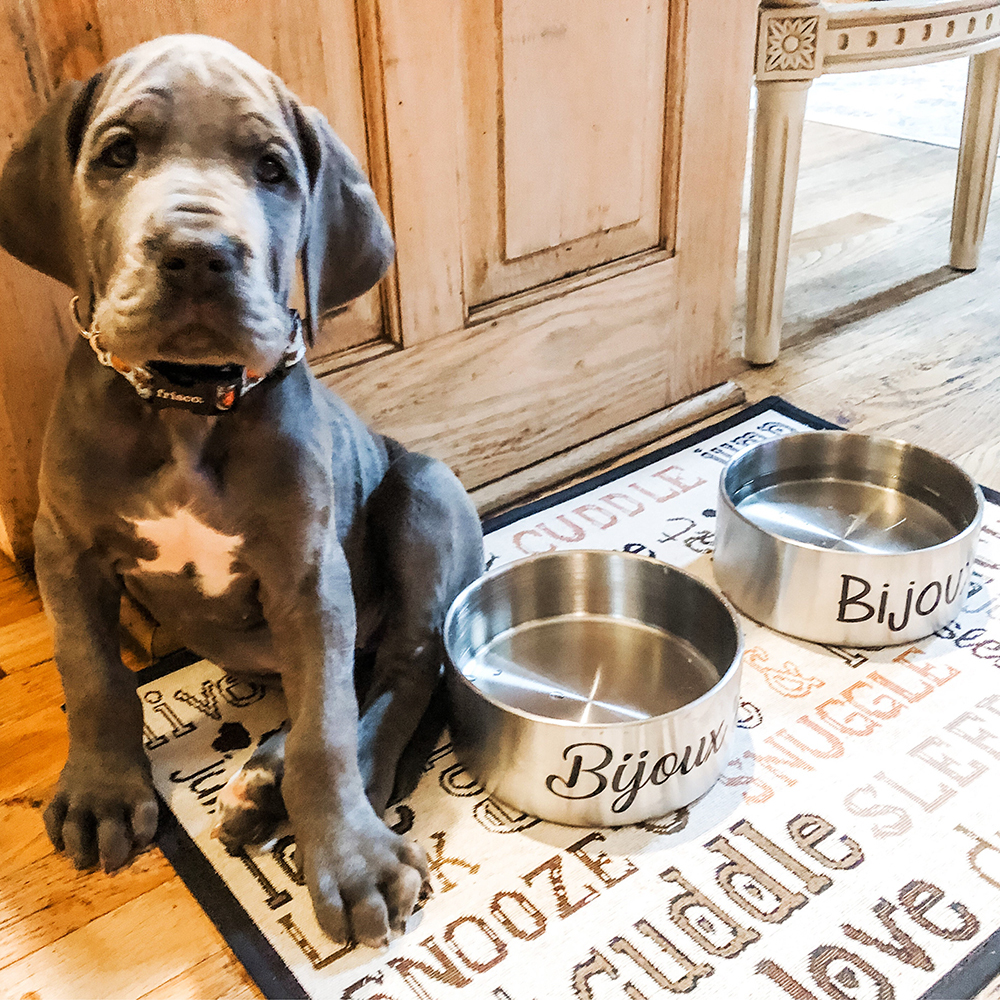 Personalized Pet Stainless Steel Anti-slip Thickened Food Bowl | BKPet369
