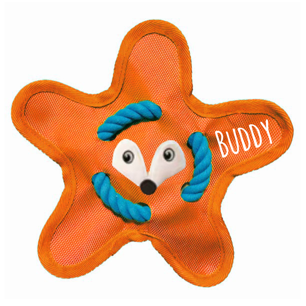 Personalized Star Flying Disc Squeaky Dog Toy | BKPet386