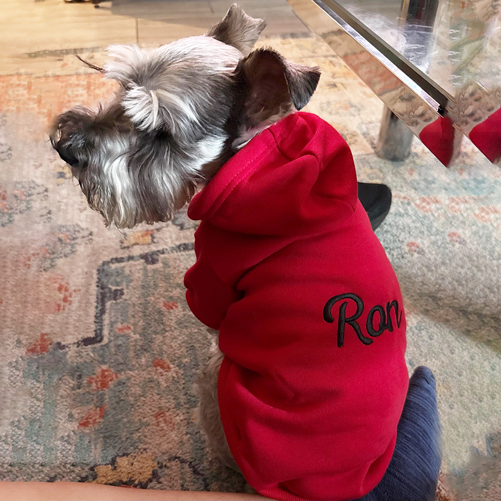 Personalized Embroidery Warm Soft Large Size Puppy Hoodie | BKPet362