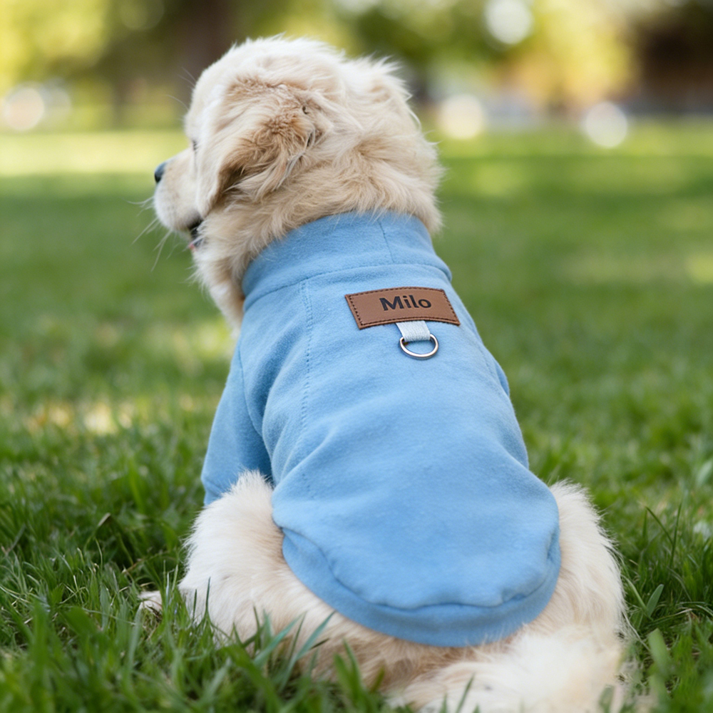Personalized Leather Patch Pets Color Sweatshirts | BKPet91
