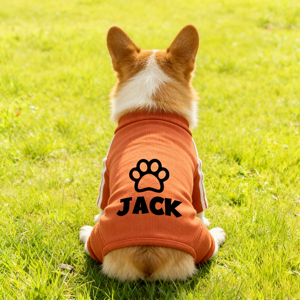 Personalized Pet Soft Striped Long Sleeves Sweatshirt | BKPet406