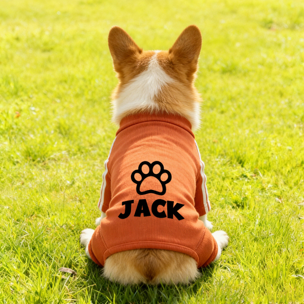 Personalized Pet Soft Striped Long Sleeves Sweatshirt | BKPet406