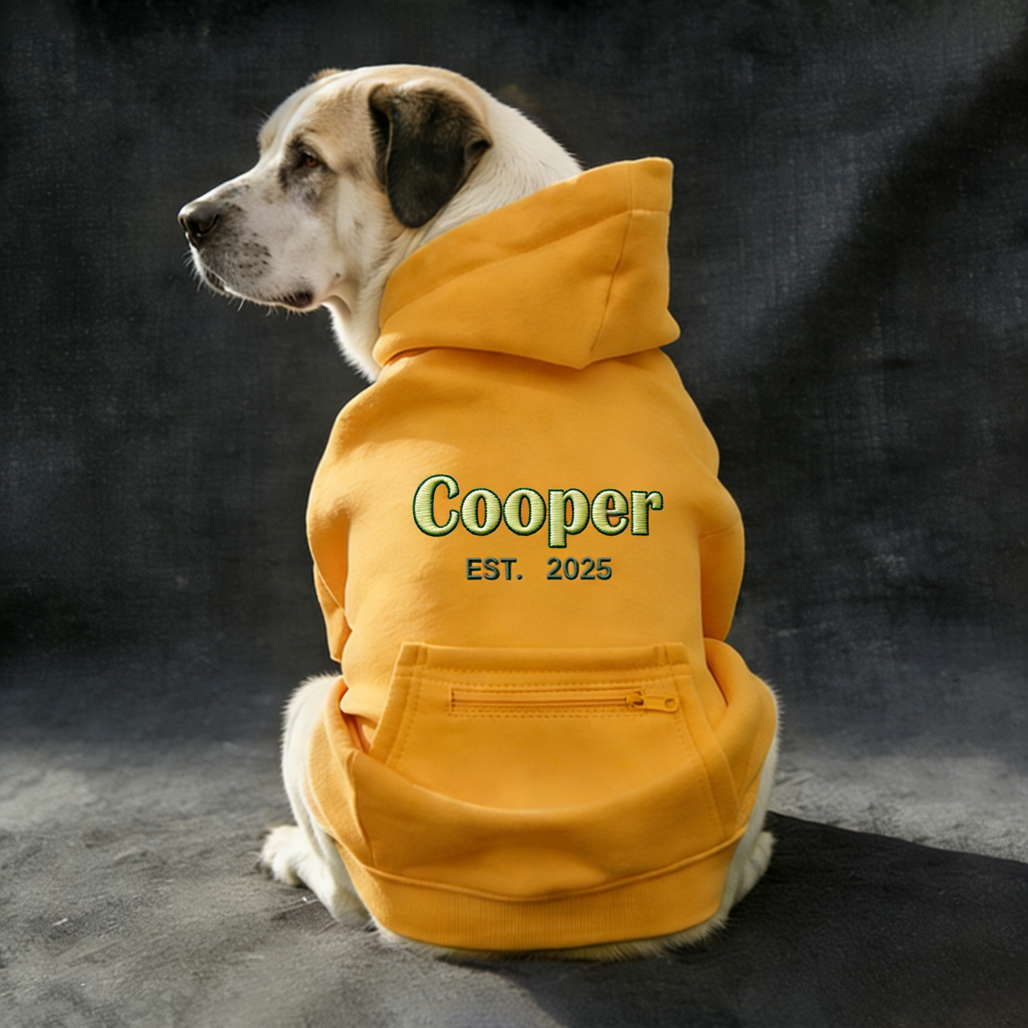 Personalized Embroidered Large Size Puppy Hoodie | BKPet412