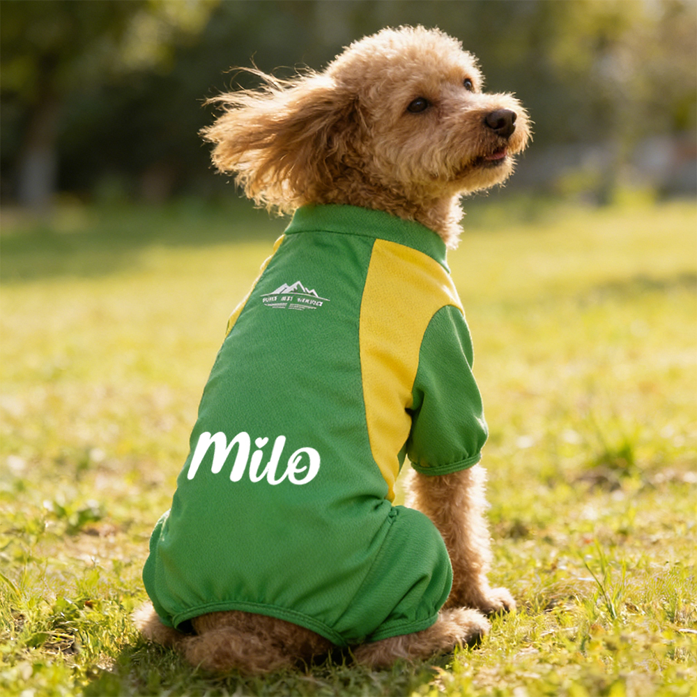 Personalized All-season Large Size  Puppy Shirt | BKPet413