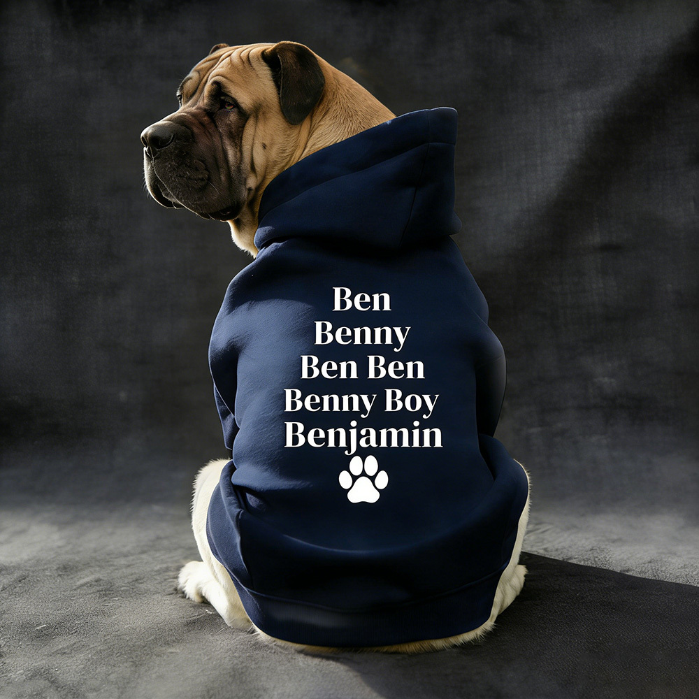 Personalized Pet Cozy Nickname Hoodie | BKPet418