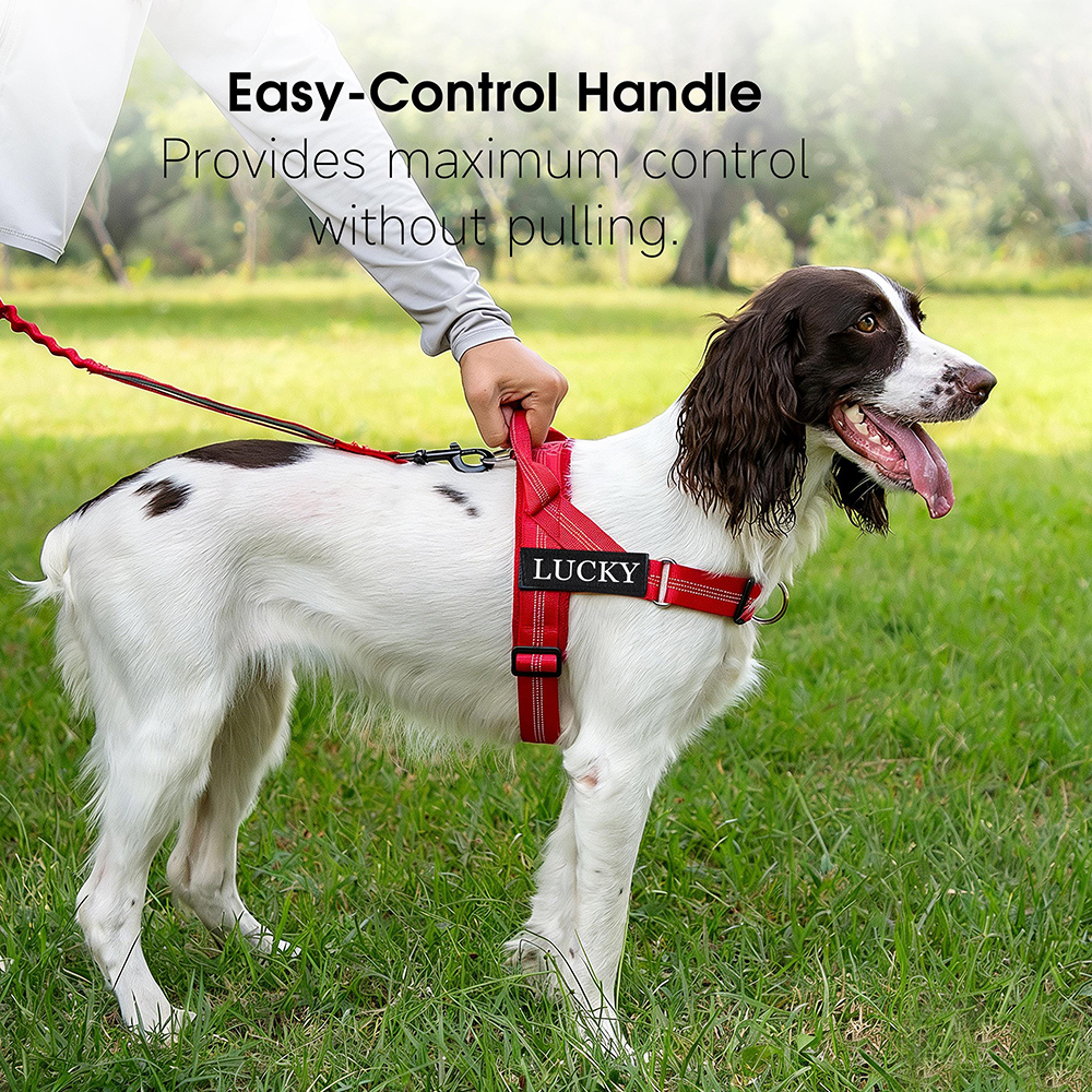 Personalized Embroidered Dog Harness & Leash Set | BKPet462