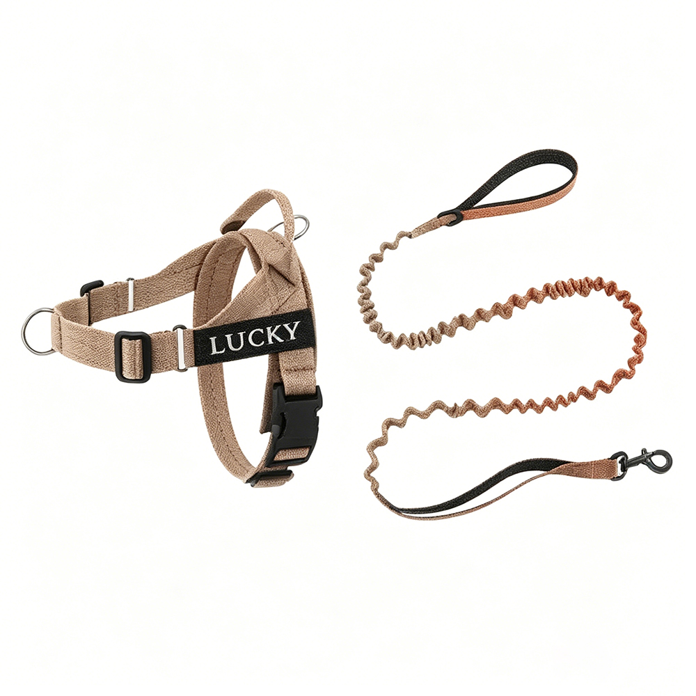 Personalized Embroidered Dog Harness & Leash Set | BKPet462