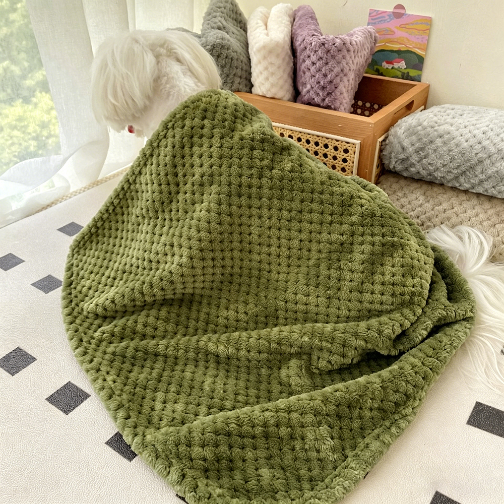 Personalized Warm Pet Blanket for Comfort & Unique | BKPet17