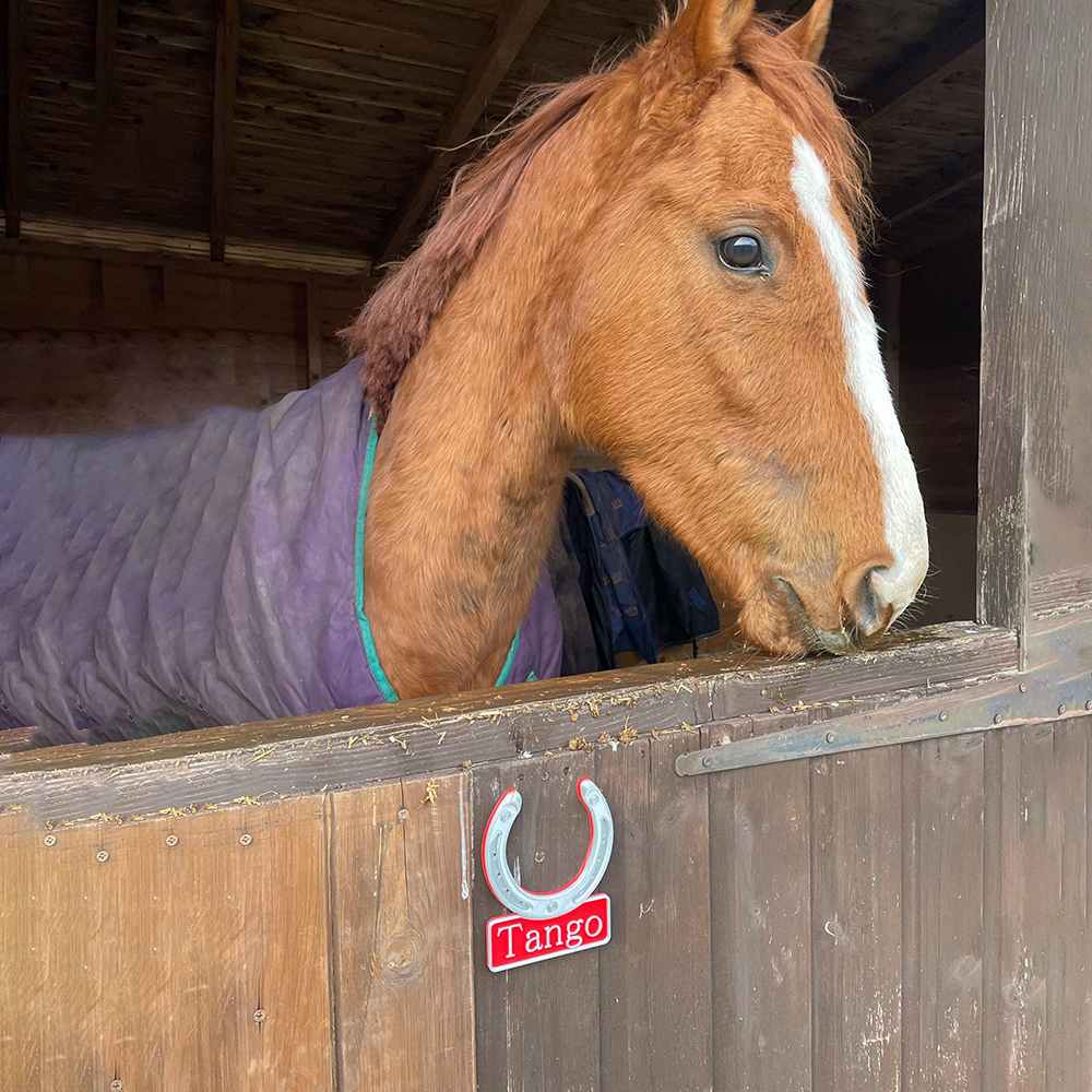 Personalized 3D Horseshoe Stable Door Name Plate | CWGift72