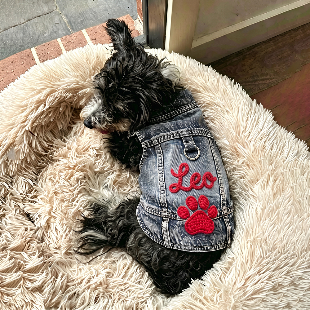 Personalized Hand Embroidered Pet Denim Jacket | BKPet542