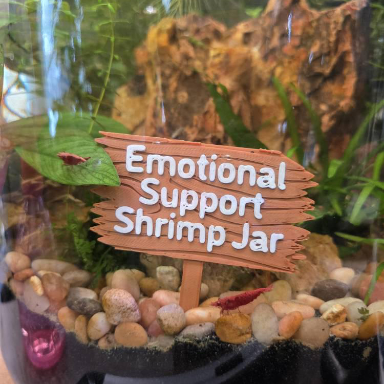 Personalized 3D Printed Forest Sign for Fishtanks | CWGift92