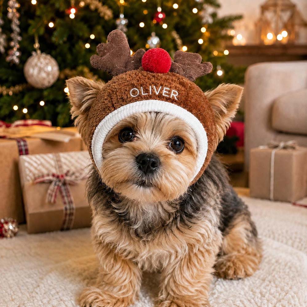 Personalized Embroidered Christmas Pets Hat | MCGift410