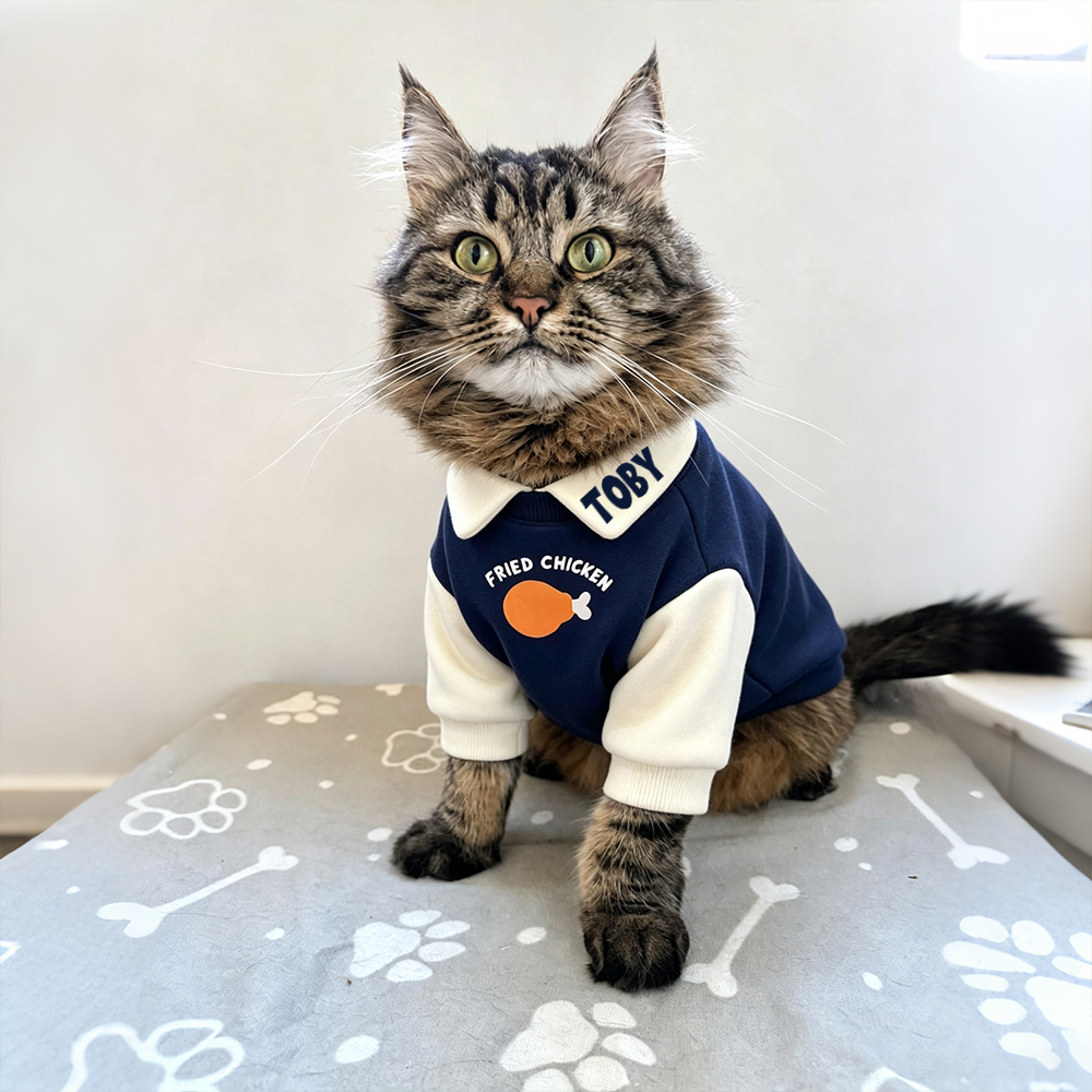 Personalized Pet Winter Fleece Polo Collar Sweatshirt | BKPet601