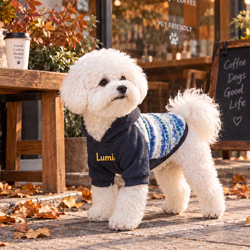 Personalized Pet Winter Warm Patchwork Hooded Sweatshirt | BKPet606