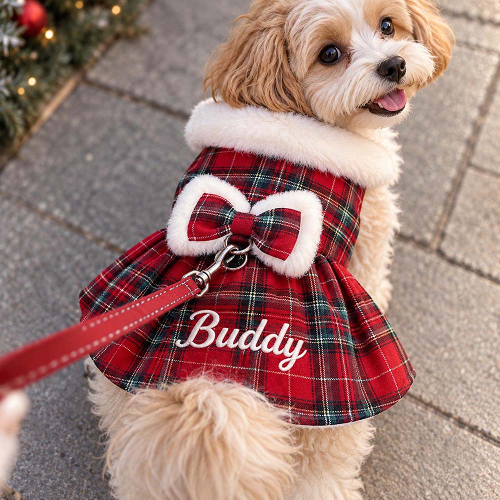 Personalized Embroidered Christmas Pet Plaid Dress | MCGift434