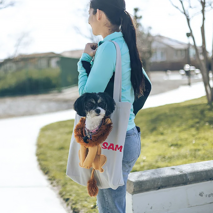 Personalized Lion Design Portable Breathable Cute Pet Carriers | BKPet60