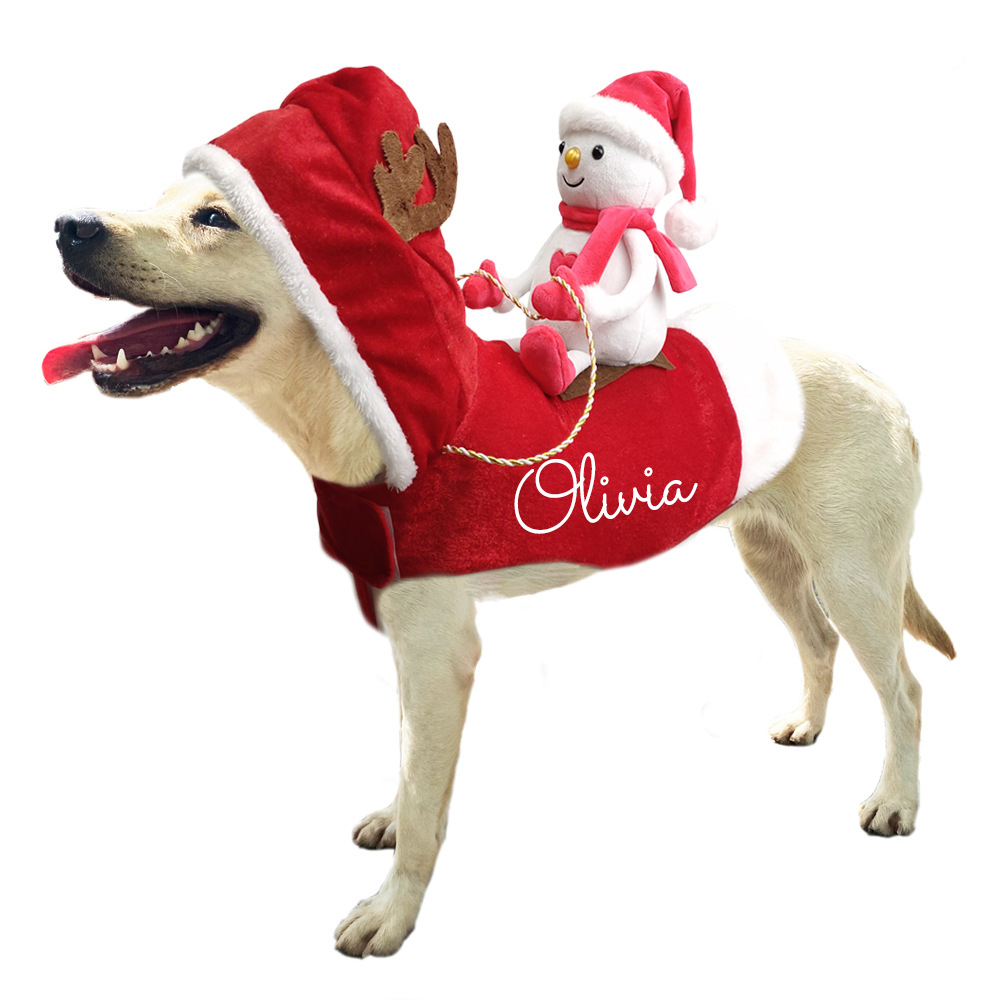 Personalized Christmas Santa Pet Riding Clothes | BKPet96