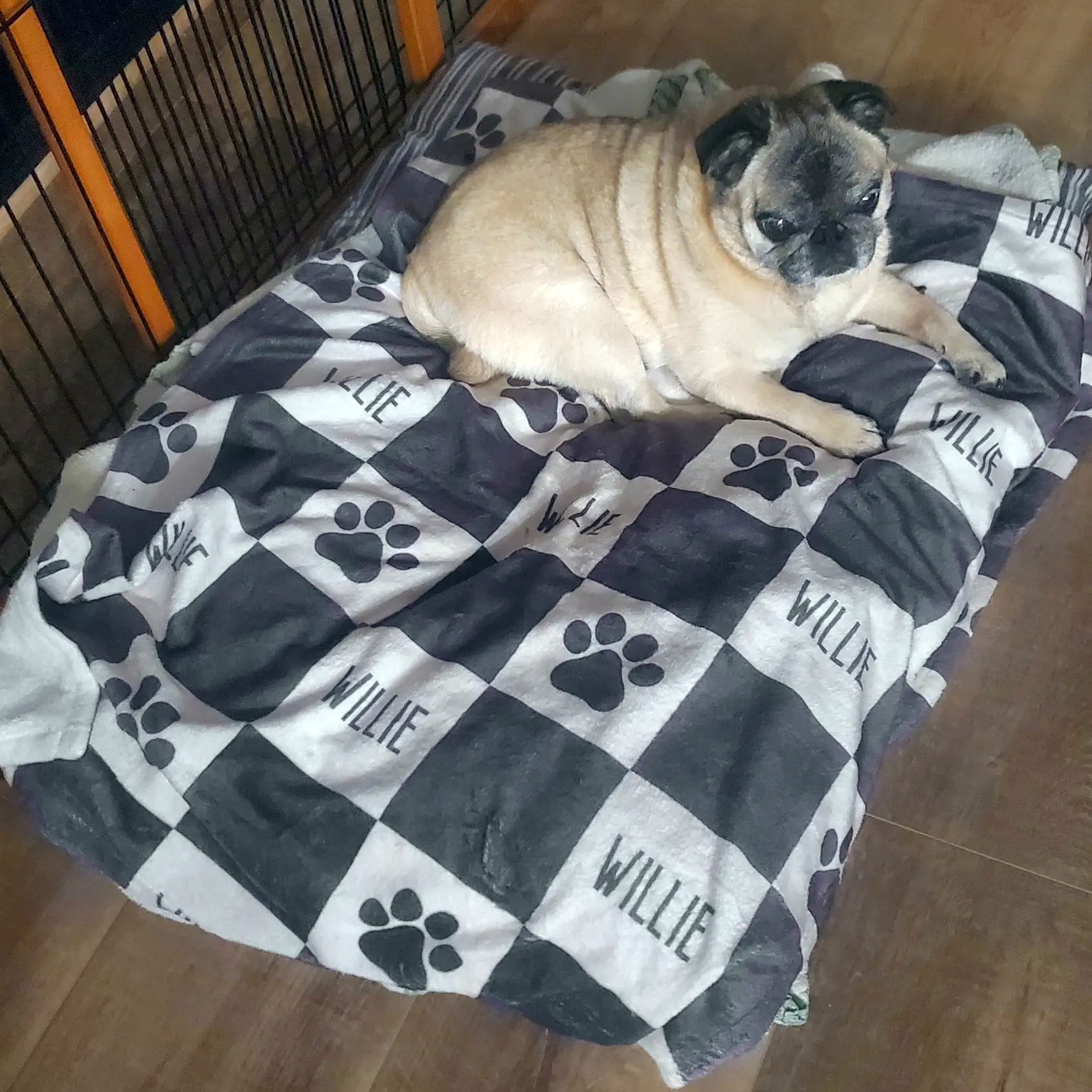 Personalized Lovely Pet Blanket for Comfort & Unique | BKPet107