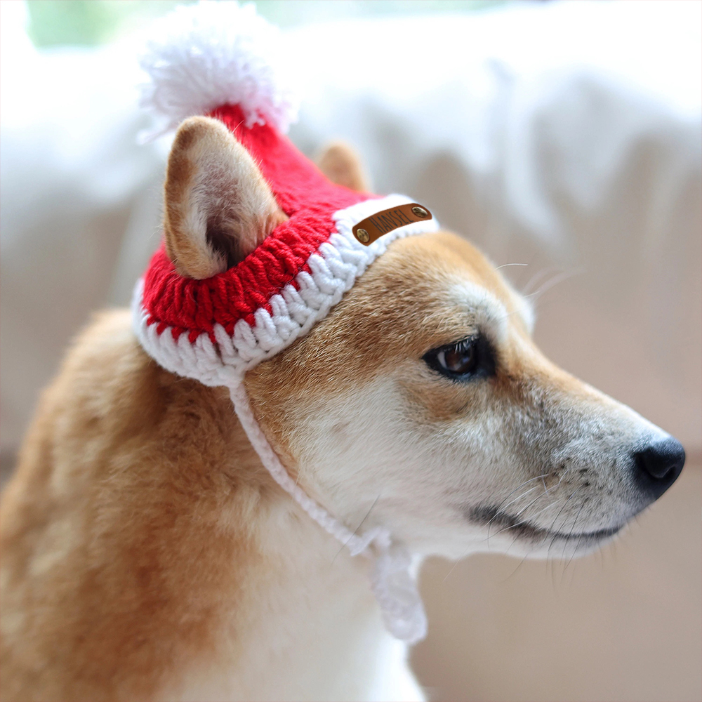 Personalized Leather Patch Crochet Christmas Pet Hat | MCGift86