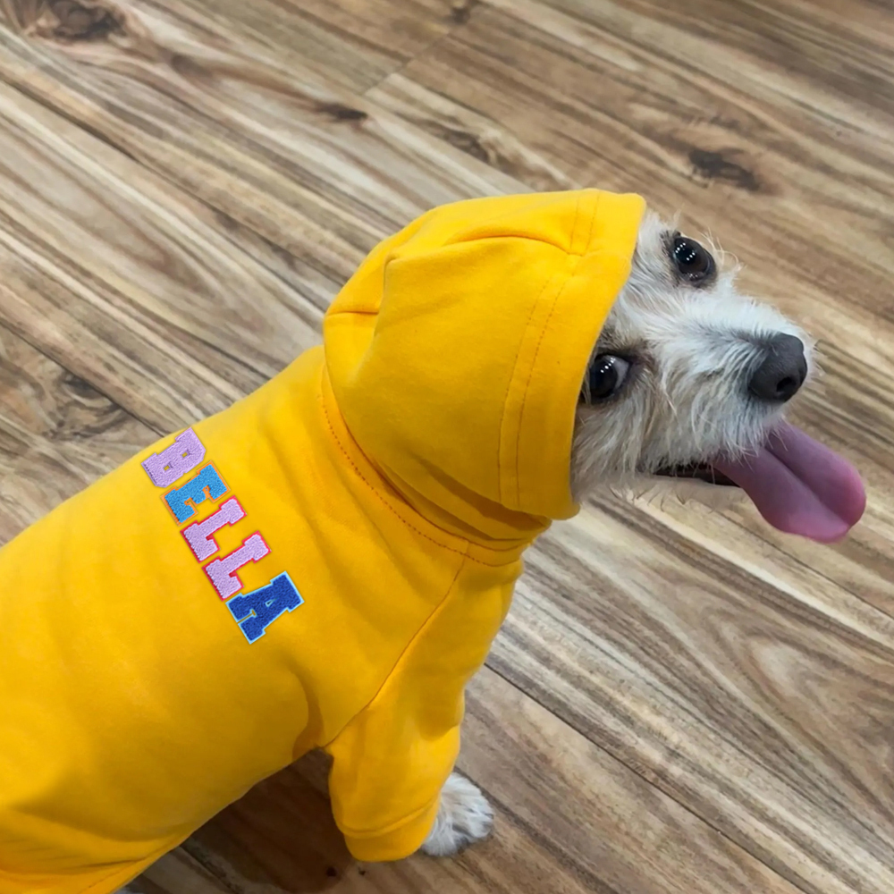 Personalized Varsity Letter Dog Hoodie for Comfort and Unique | BKPet140