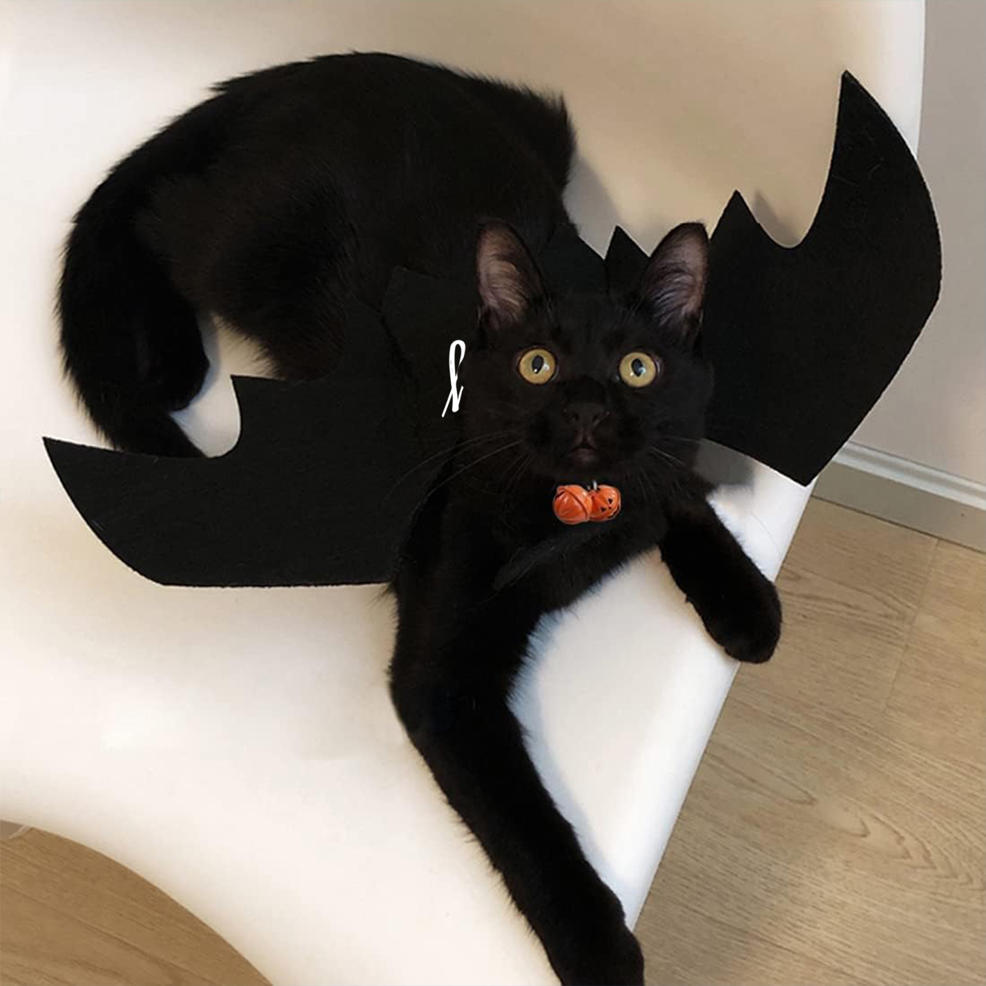 Personalized Halloween Bat Wing Pet Ornament| KKHalloween22