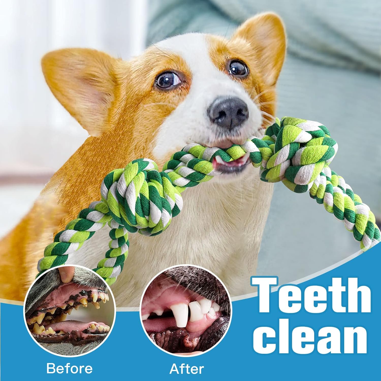 Nearly Indestructible 2 Pack Rope Dog Toys | BKPet126