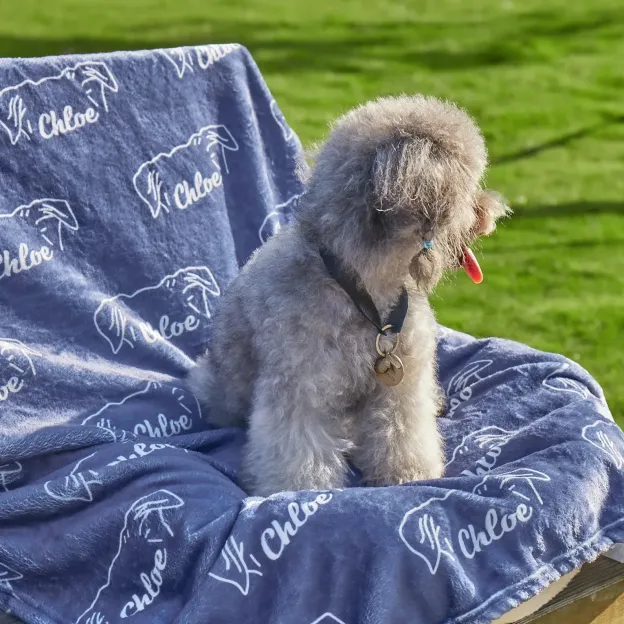 Personalized Lovely Pet Blanket for Comfort & Unique | BKPet102