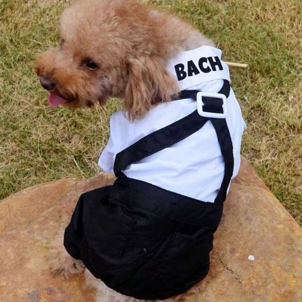 Personalized Pet Tuxedo Wedding Outfit | BKPet261