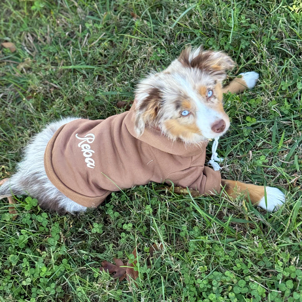 Personalized Embroidery Warm Soft Puppy Hoodie | BKPet362