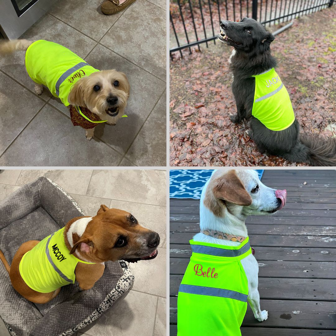 Personalized Pet Reflective Safety Bandana & Vest Set | BKPet163