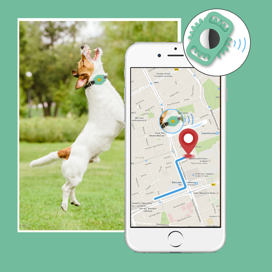 Personalized Pet Apple Air Tag Holder for Dog Collar | BKPet165