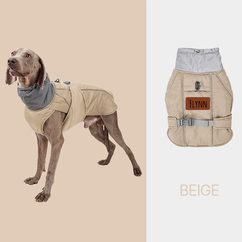 Personalized Warm Puppy Waterproof Reflective Jacket | BKPet39