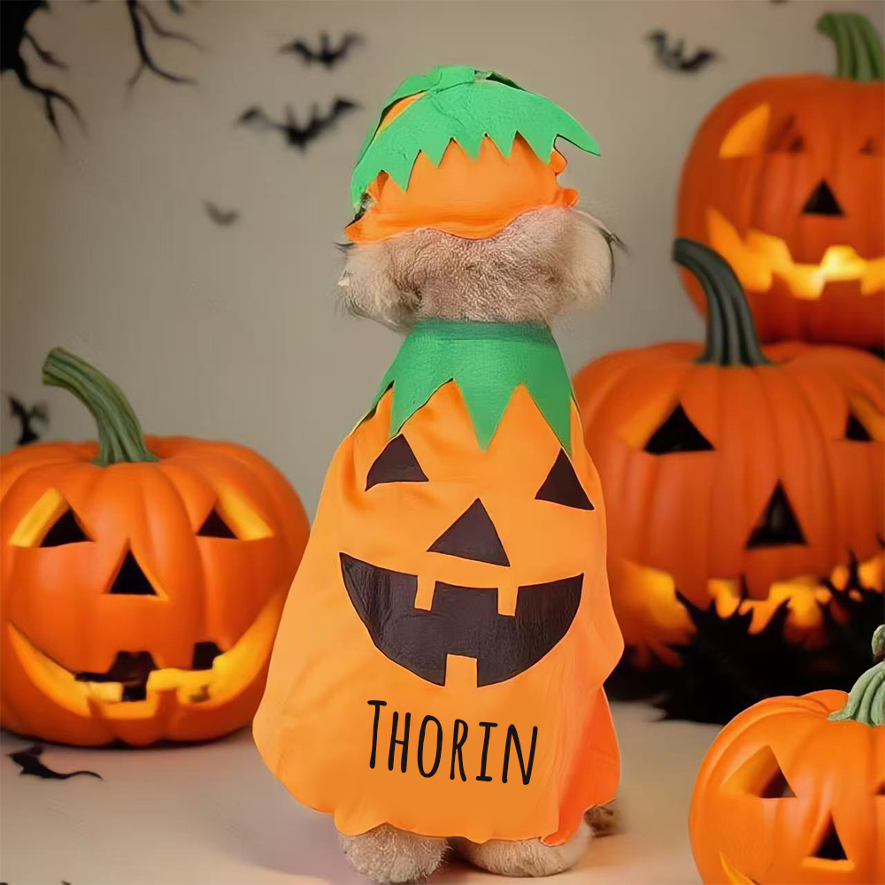 Personalized Halloween Funny Pumpkin Pet Costume | CWHalloween65