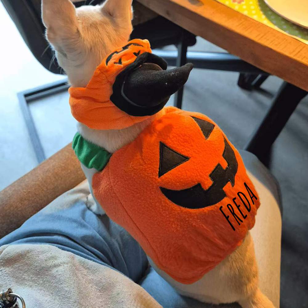 Personalized Halloween Funny Pumpkin Pet Costume | CWHalloween66