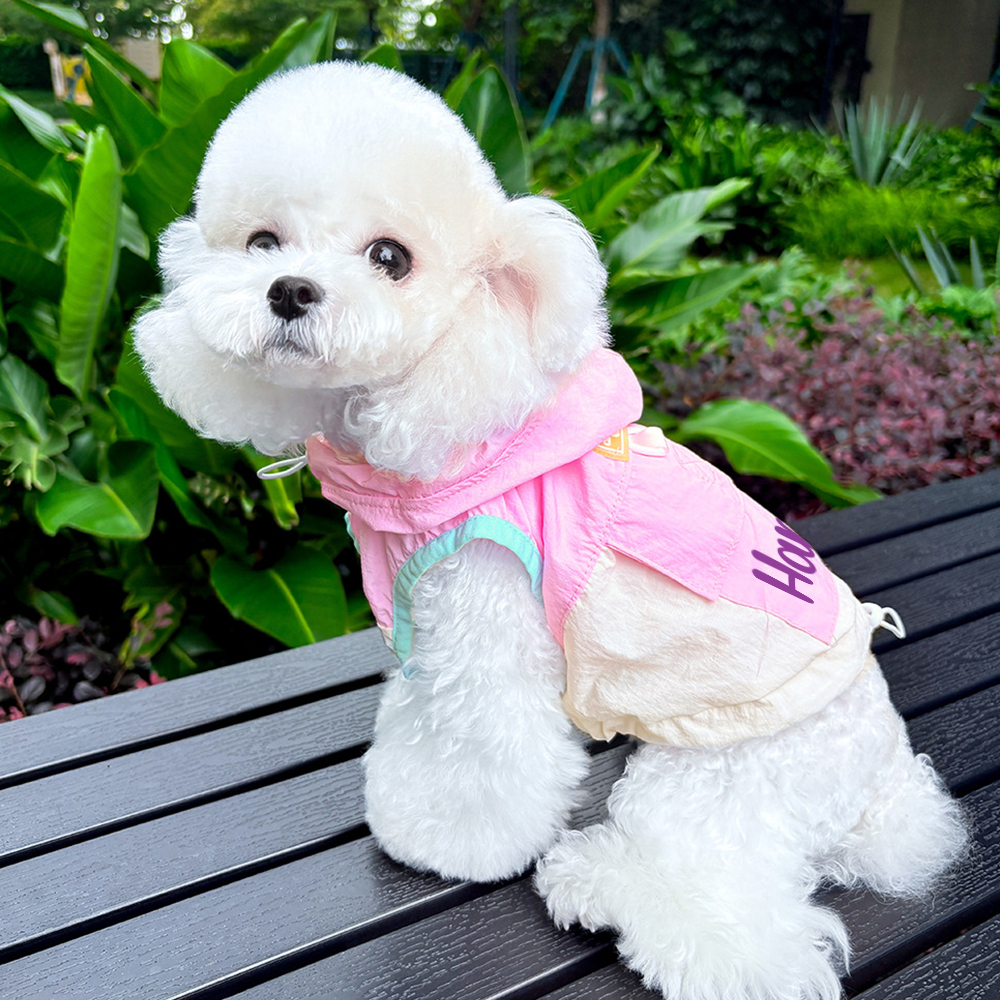 Personalized Cute Color Block Pet Summer Hoodie | BKPet207