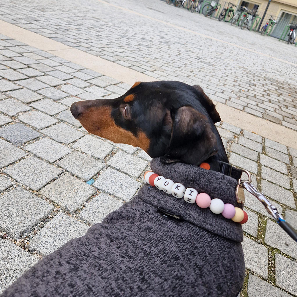 Personalized Handmade Beaded Adjustable Buckle Dog Collar | BKPet221