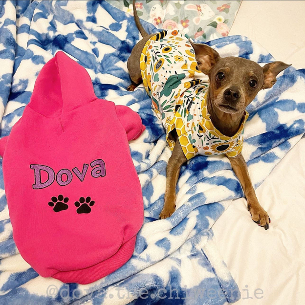 Personalized Warm Puppy Hoodie for Comfort & Unique | BKPet22