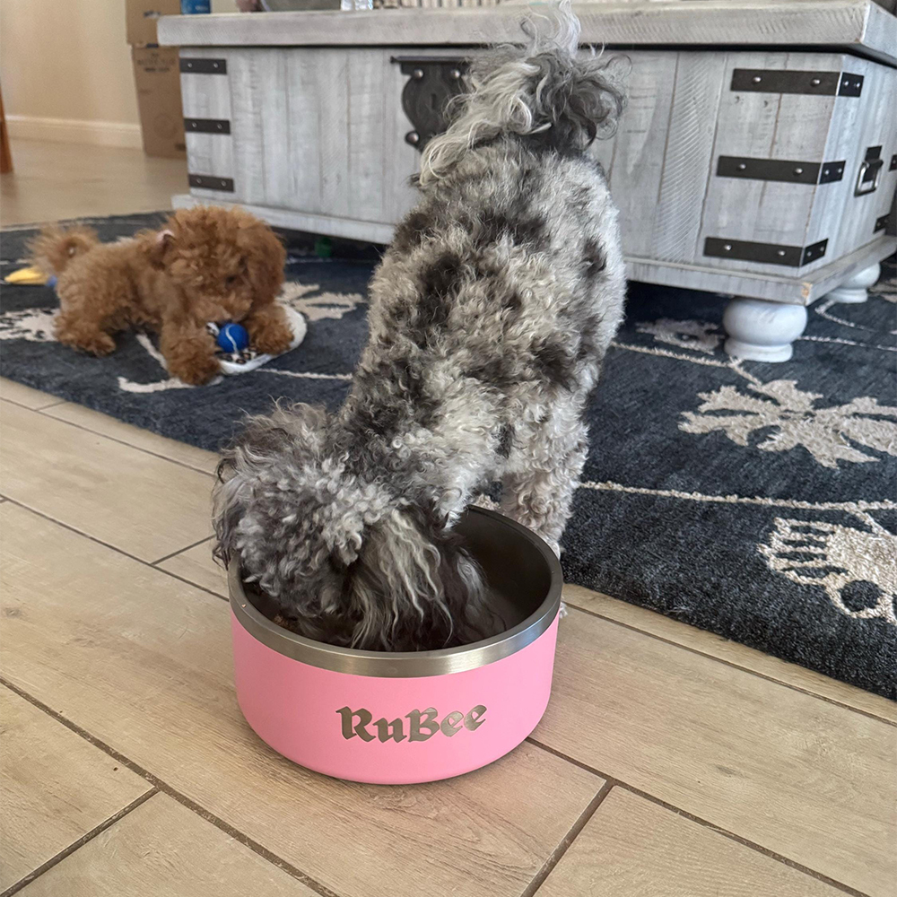 Personalized Stainless Steel Pet Food Bowl | BKPet150