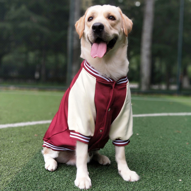 Personalized Pet Large Baseball Jacket | BKPet250