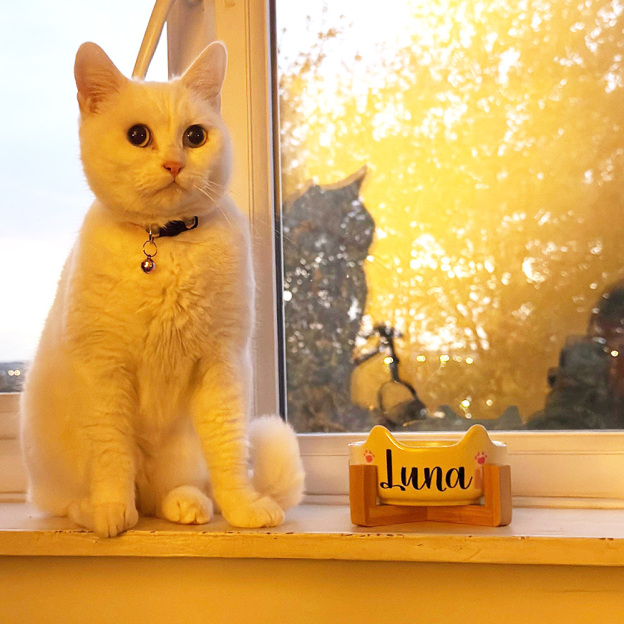 Personalized Pet Ceramic Food Dish with Ears Bowl | BKPet259